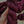 Sangria - Tonal
