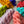Mini Set - Flashes of Wild Collection