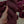 Sangria - Tonal