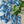 Blue Clear Sky - Tonal