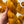 Marigold - Tonal