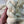 Ibis - Undyed