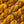 Marigold - Tonal