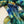 Moderne - Art Deco Collection