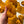 Marigold - Tonal
