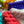 Mini Set - Flashes of Wild Collection