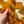 Marigold - Tonal