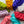 Mini Set - Flashes of Wild Collection