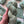 Sage - Tonal
