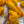 Freshly Squeezed - Tonal