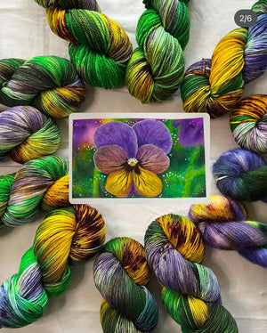 Pansy - Hibernal Flowers Collection