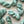 Sage - Tonal