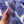 Lavender - Tonal