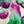 Ocean Surf - Art Deco Collection