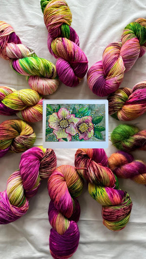 Hellebore - Hibernal Flowers Collection