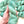 Eucalyptus - Tonal