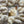 Crème Fraiche - Tonal