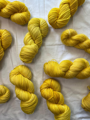 Sunflower - Tonal