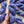 Lavender - Tonal