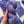 Lavender - Tonal