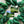 Putting Green - Tonal