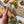 Potager - Kitchen Garden Collection