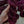 Sangria - Tonal