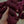 Sangria - Tonal