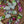 April Showers - Variegated