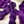 Plum Preserve - Tonal