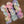 May Flowers - Variegated