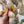 Potager - Kitchen Garden Collection