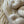 Ibis - Undyed