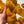 Marigold - Tonal