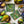 Pansy - Hibernal Flowers Collection