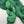 Putting Green - Tonal