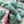 Sage - Tonal