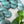 Eucalyptus - Tonal