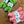 OOAK 50g bundles