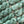 Sage - Tonal