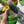 Pansy - Hibernal Flowers Collection