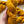 Marigold - Tonal