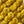 Sunflower - Tonal